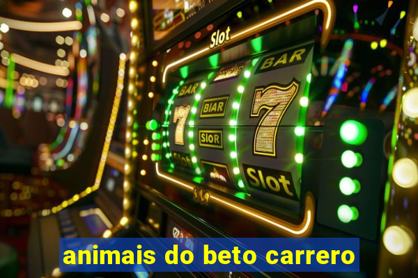 animais do beto carrero